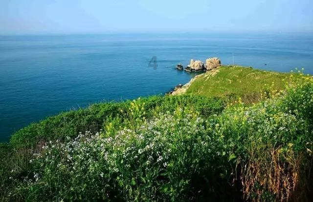 虫虫助手下载